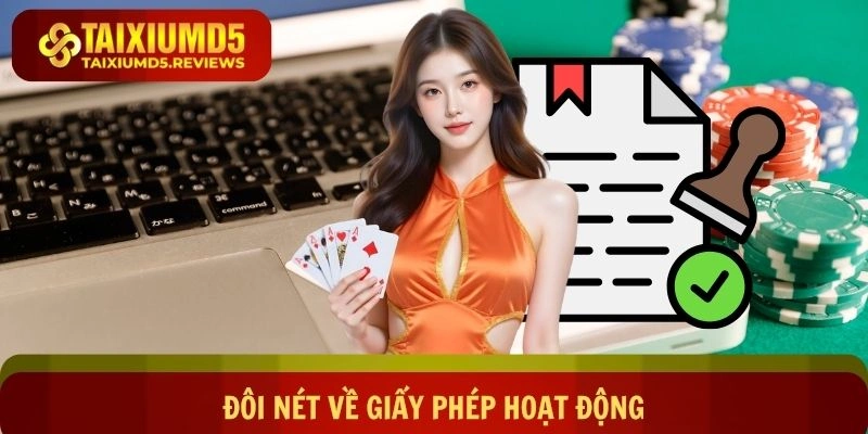 Đôi nét về giấy phép hoạt động game online