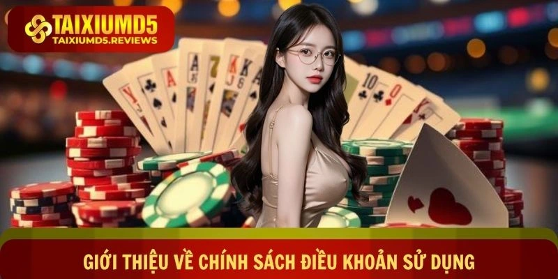 Giới thiệu về chính sách điều khoản sử dụng trong game