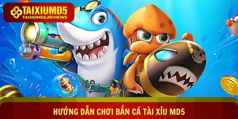 Hướng dẫn chơi bắn cá Tài xỉu md5 cực dễ cho bạn mới