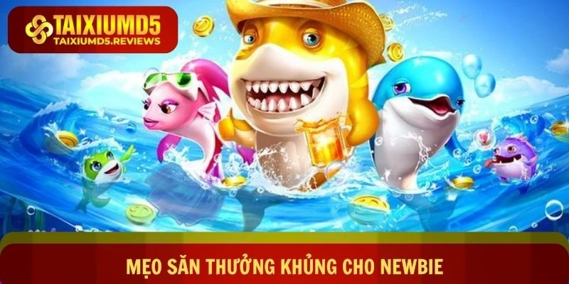 Mẹo săn thưởng khủng cho newbie gia nhập