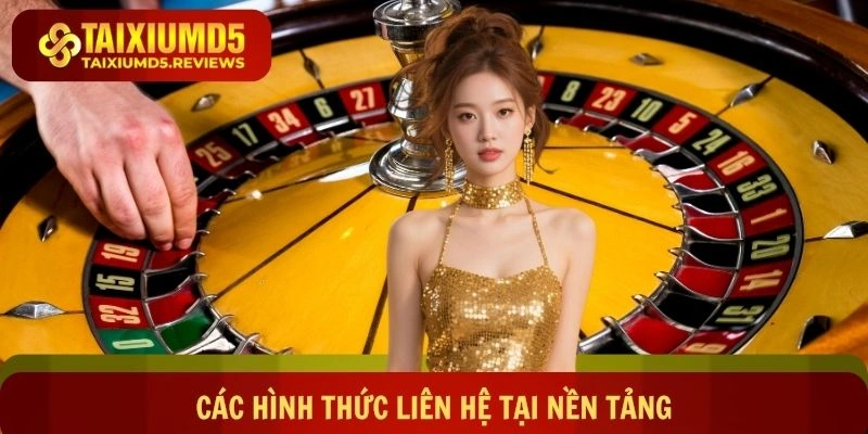 Những hình thức kết nối hỗ trợ với nền tảng game