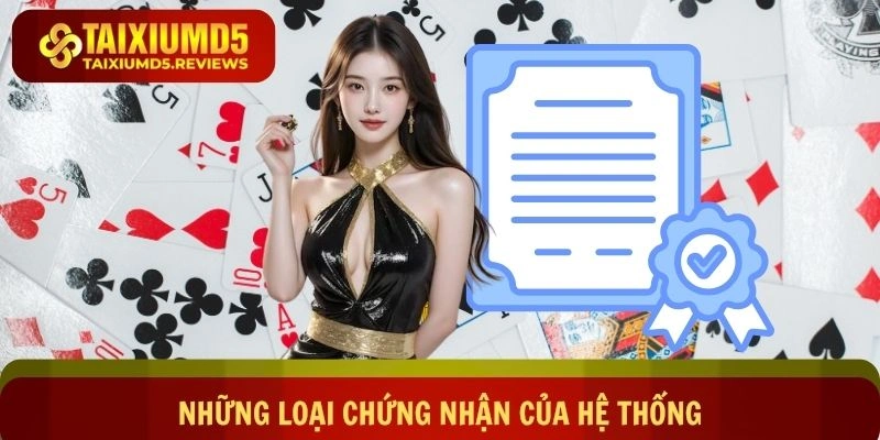 Những loại chứng nhận hệ thống đang sở hữu