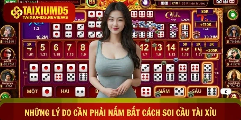 Nắm bắt rõ cách soi cầu tài xỉu mang lại nhiều lợi ích to lớn