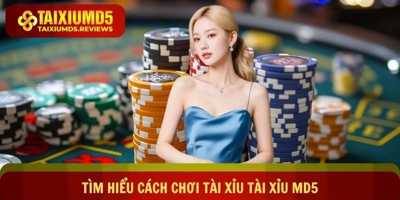 Tìm hiểu cách chơi tài xỉu Tài xỉu md5 dễ hiểu