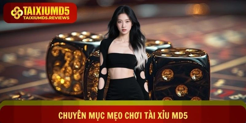 Tìm hiểu về chuyên mục mẹo chơi Tài xỉu md5