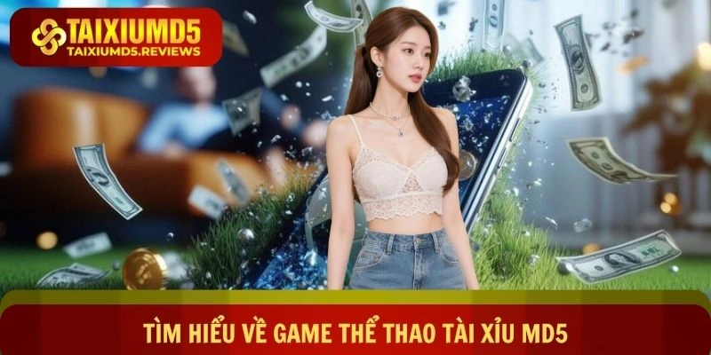 Tìm hiểu về game thể thao Tài xỉu md5 siêu hot