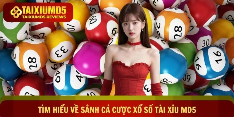 Tìm hiểu về sảnh cá cược xổ số Tài xỉu MD5